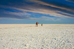 Mandvai Dunes