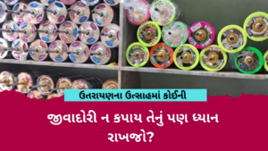 ઉતરાયણમાં